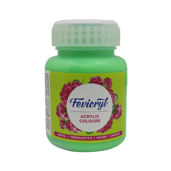 Light Green Acrylic Colours 100 ml /Pidilite Fevicryl